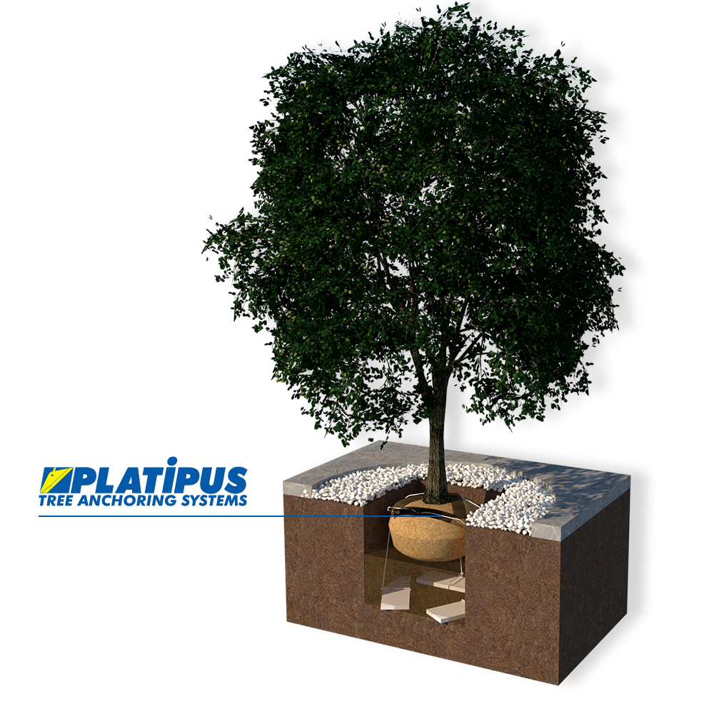 PLATIPUS